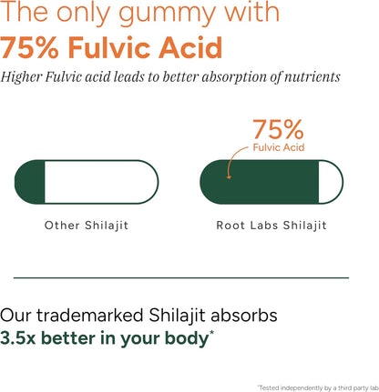 10-in-1 Shilajit Gummies (4000mg)|Tongkat Ali, Maca, 75% Fulvic Acid | Sugar-Free & Vegetarian1-Shop