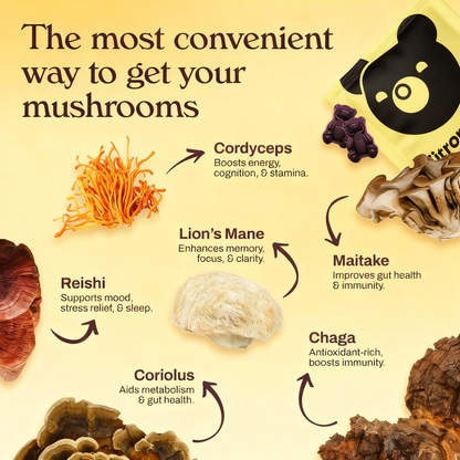 Nütrops Daily Gummies-Daily Gummies-Elevate Your Brain Health, Energy &amp; Wellness with 6 Power-Packed Mushrooms
