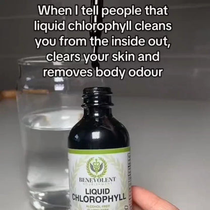 Benevolent Chlorophyll Liquid Drops Organic Detox & Immune Support, 2 Oz Drops